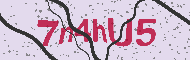 Codice captcha